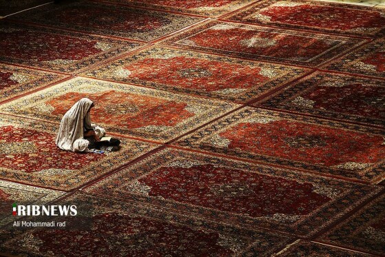 عکاس :علی محمدی راد