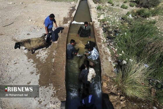 عکاس :علی محمدی راد