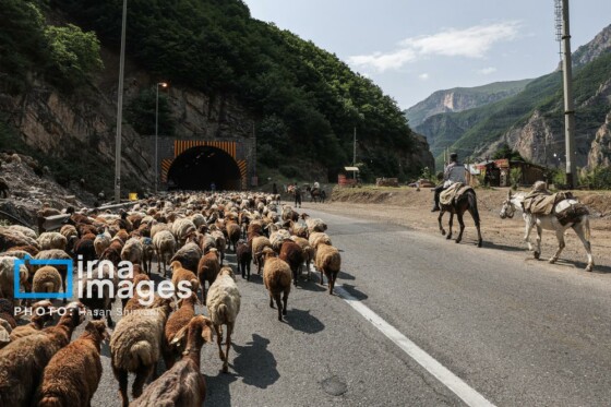 عکاس: حسن شیروانی