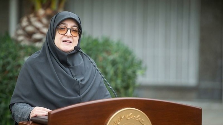 مهاجرانی: رفع ناترازیها در برنامه است/ تصویب واردات خودرو