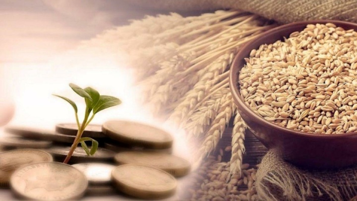 جمعآوری بیش از ۳ همت زکات در کشور