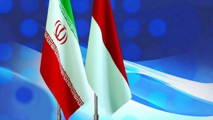اندونزی حمله تجاوزکارانه رژیم صهیونیستی به ایران را به شدت محکوم کرد