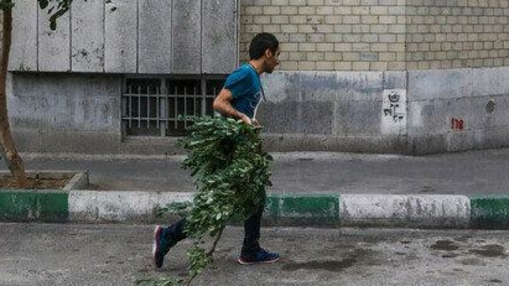 وزش باد شدید و گرد و خاک در تهران