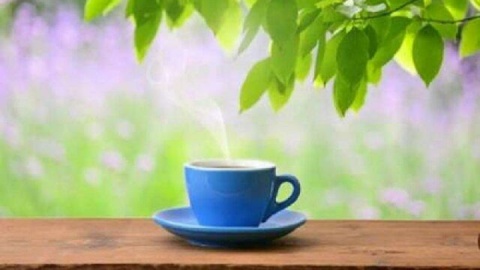 تغذیه نقش مهمی در مدیریت استرس و حفظ سلامت روان دارد