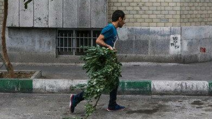 وزش باد شدید در تهران