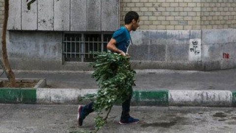 وزش باد شدید در تهران