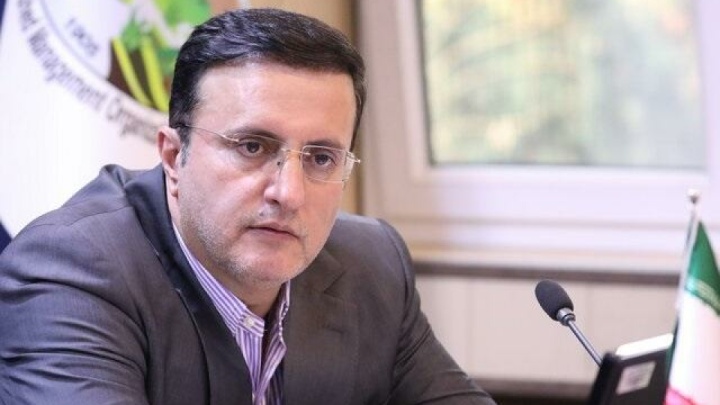 لزوم استفاده از دانش نو و هوش مصنوعی برای حفاظت از جنگلها