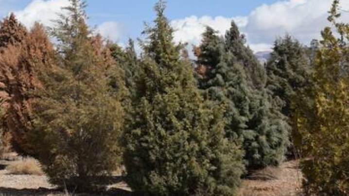 افزایش ضریب حفاظتی بوستان پردیسان