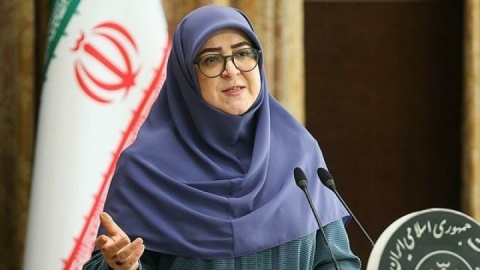 خطری برای مجاوران سایت‌های هسته‌ای وجود ندارد/ گازوئیل سه نرخی لغو شد