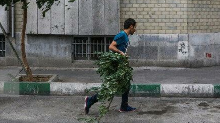 باد و خاک در تهران