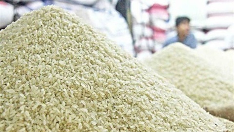 ترخیص برنج های وارداتی آغاز شد