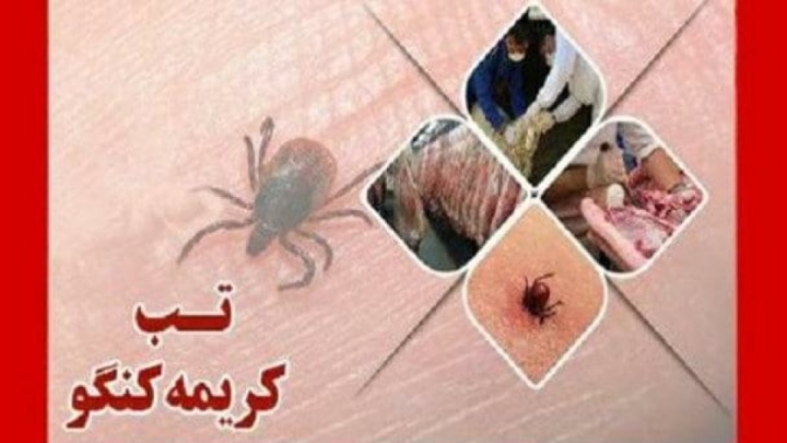 بستری ۳ بیمار مبتلا به بیماری تب کریمه کنگو در اردبیل