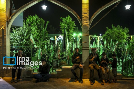 عکس:محمدمهدی پورعرب