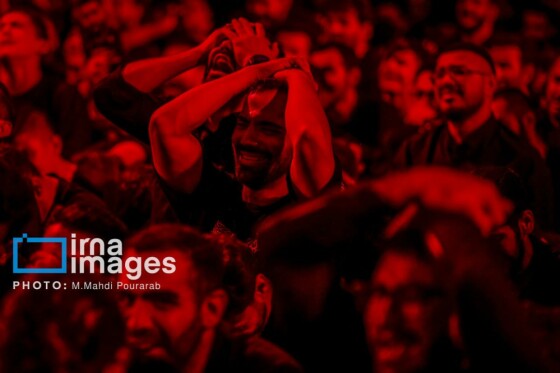 عکس:محمدمهدی پورعرب