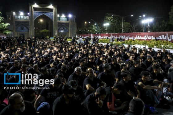 عکس:محمدمهدی پورعرب