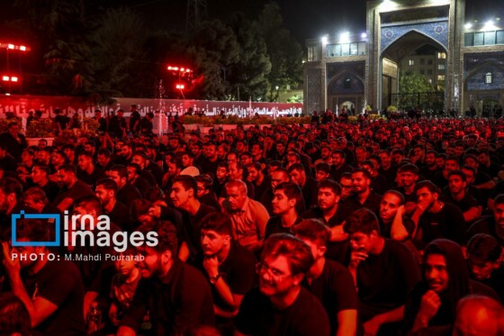 عکس:محمدمهدی پورعرب