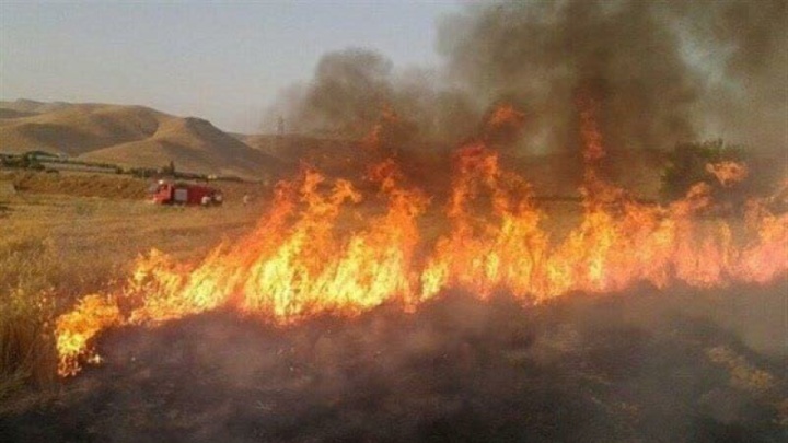 بیاحتیاطی عامل آتشسوزی مراتع در ایلام