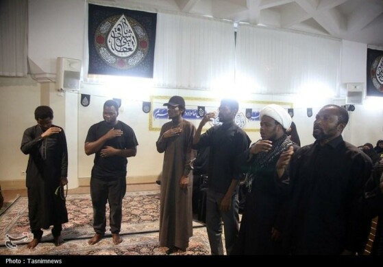 عزاداری نیجریهایها در حرم مطهر حضرت معصومه(س)