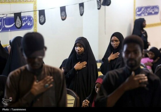 عزاداری نیجریهایها در حرم مطهر حضرت معصومه(س)