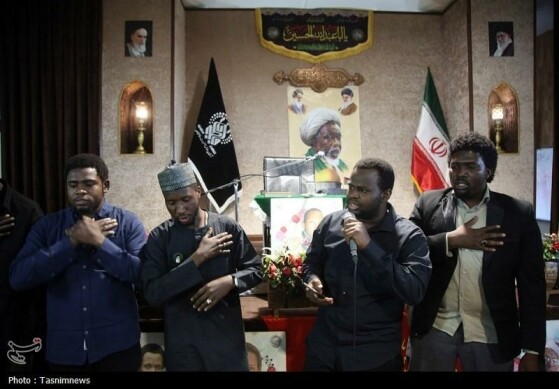 عزاداری نیجریهایها در حرم مطهر حضرت معصومه(س)