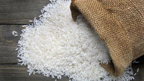 افزایش بی‌سابقه قیمت برنج در بازار؛ وعده کاهش، اما واقعیت گرانی