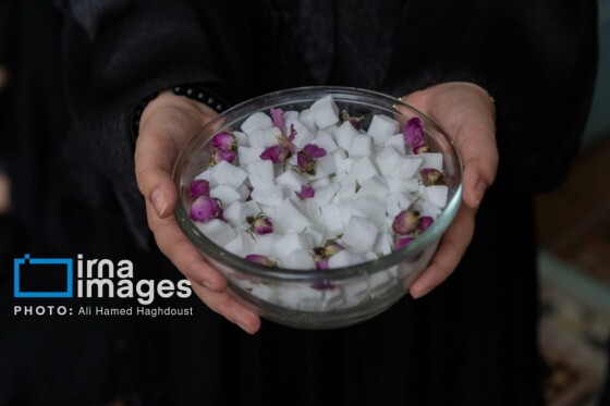 روضه طوبی