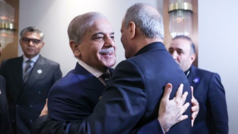 پزشکیان با نخست وزیر پاکستان دیدار و گفت و گو کرد