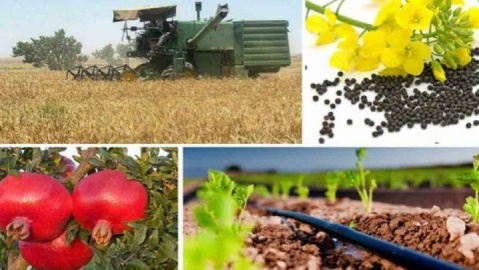 کاهش نرخ تورم در بخش کشاورزی