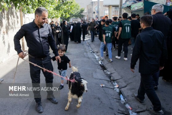 دسته عزاداری «یوم الزینب» در زنجان