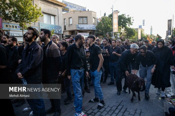 دسته عزاداری «یوم الزینب» در زنجان
