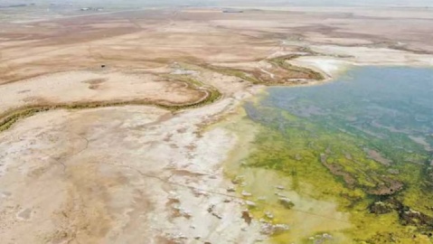 هشدارها شنیده نشد؛ تالاب کانون گردو غبار شد