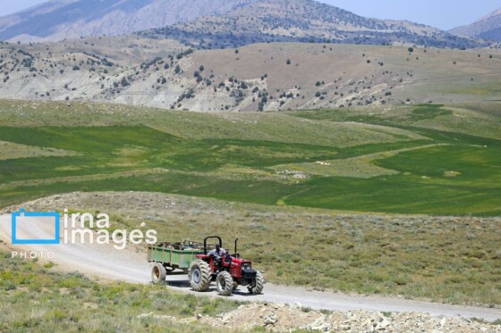 عشایر کُرمانج در ییلاق «گلیل»