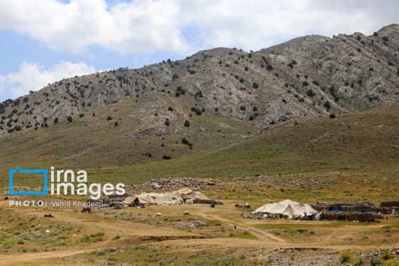 عشایر کُرمانج در ییلاق «گلیل»
