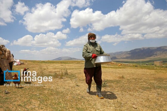 عشایر کُرمانج در ییلاق «گلیل»