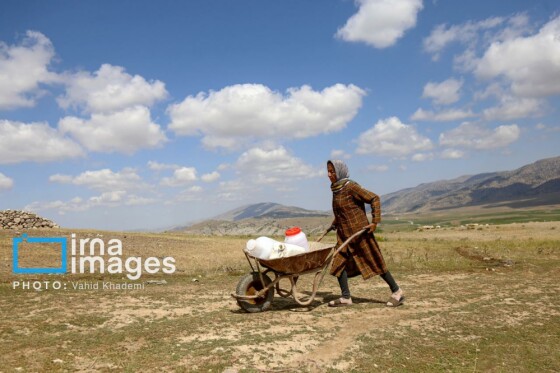 عشایر کُرمانج در ییلاق «گلیل»