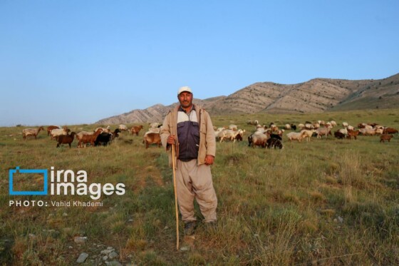 عشایر کُرمانج در ییلاق «گلیل»