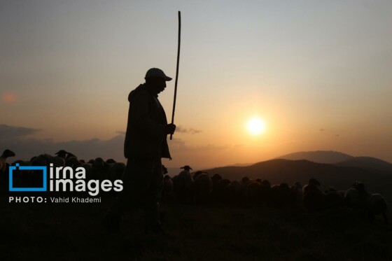 عشایر کُرمانج در ییلاق «گلیل»
