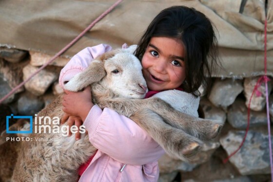 عشایر کُرمانج در ییلاق «گلیل»
