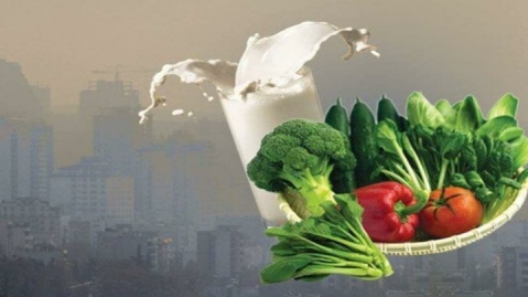 ۵ توصیه تغذیه‌ای برای مقابله با آلودگی هوا و ریزگردها