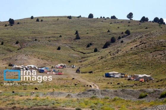 عشایر کُرمانج در ییلاق «گلیل»