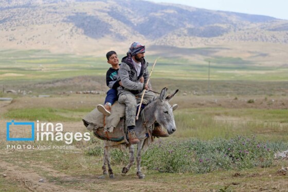 عشایر کُرمانج در ییلاق «گلیل»