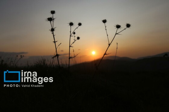 عشایر کُرمانج در ییلاق «گلیل»