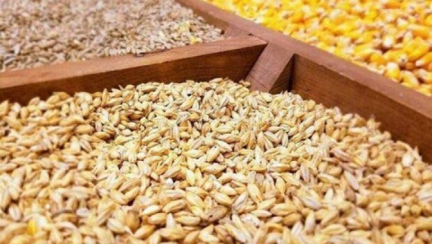 موانع اصلی تأمین نهادههای دامی در کشور چیست؟