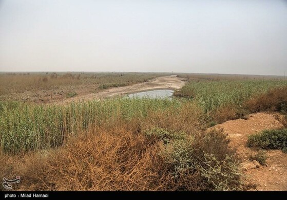 بازدید استاندار خوزستان از تالاب هورالعظیم و نقطه صفر مرزی