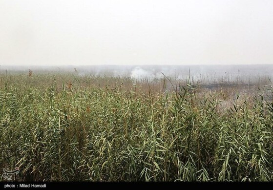 بازدید استاندار خوزستان از تالاب هورالعظیم و نقطه صفر مرزی