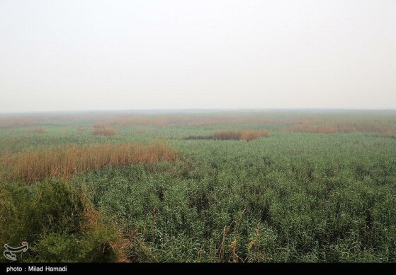 بازدید استاندار خوزستان از تالاب هورالعظیم و نقطه صفر مرزی