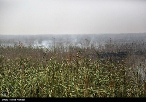 بازدید استاندار خوزستان از تالاب هورالعظیم و نقطه صفر مرزی