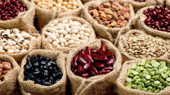 صادرات حبوبات ممنوع شد