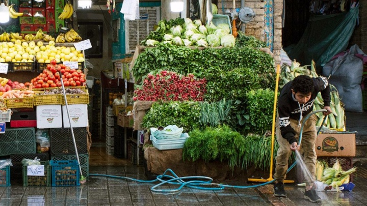 گرانی میوه منطقی نیست/ خرده فروشان سهم سود خود را رعایت نمی‌کنند