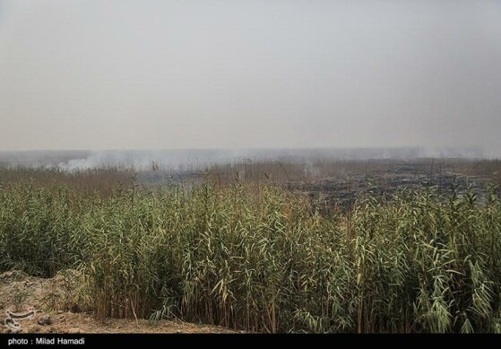 بازدید استاندار خوزستان از تالاب هورالعظیم و نقطه صفر مرزی